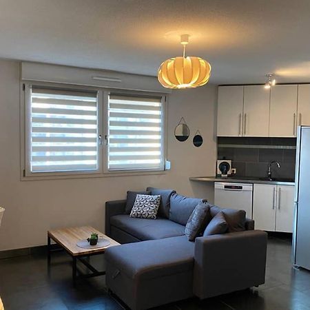 F2 au calme, proche gare, Center Parc, Sainte Croix Apartment Sarrebourg Exterior foto